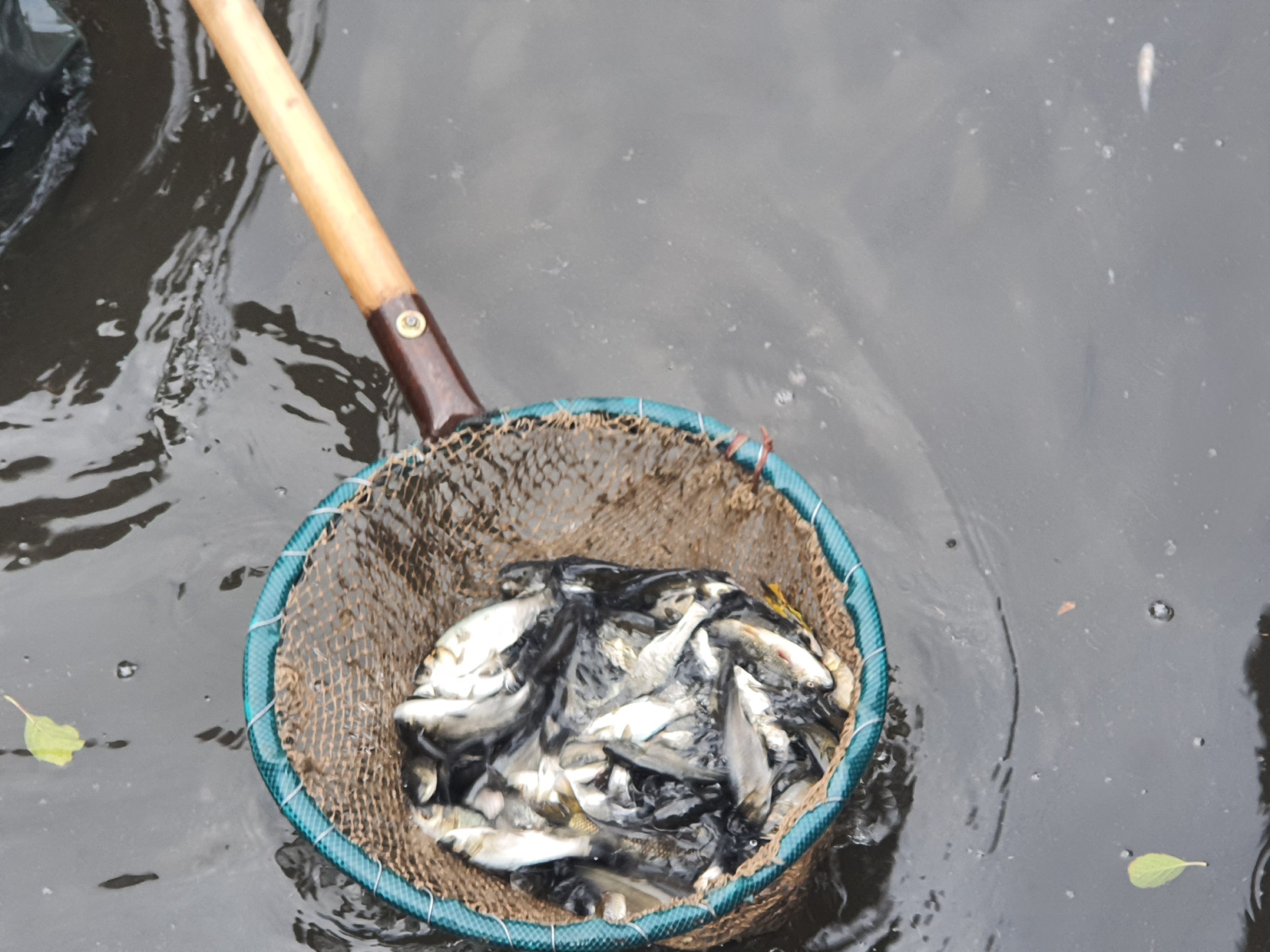 Саратовцам рассказали о запрете на рыбалку с 20 апреля